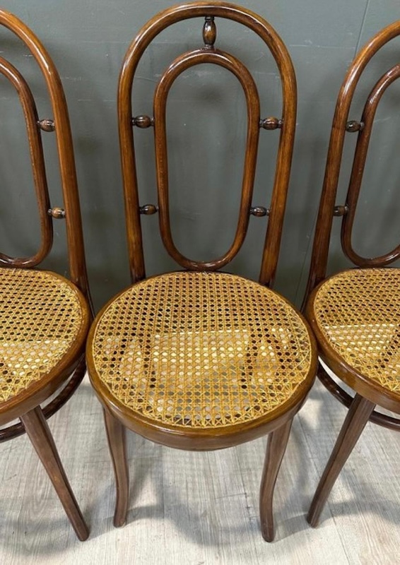 Set 6 sedie Thonet n°33 - immagine 37