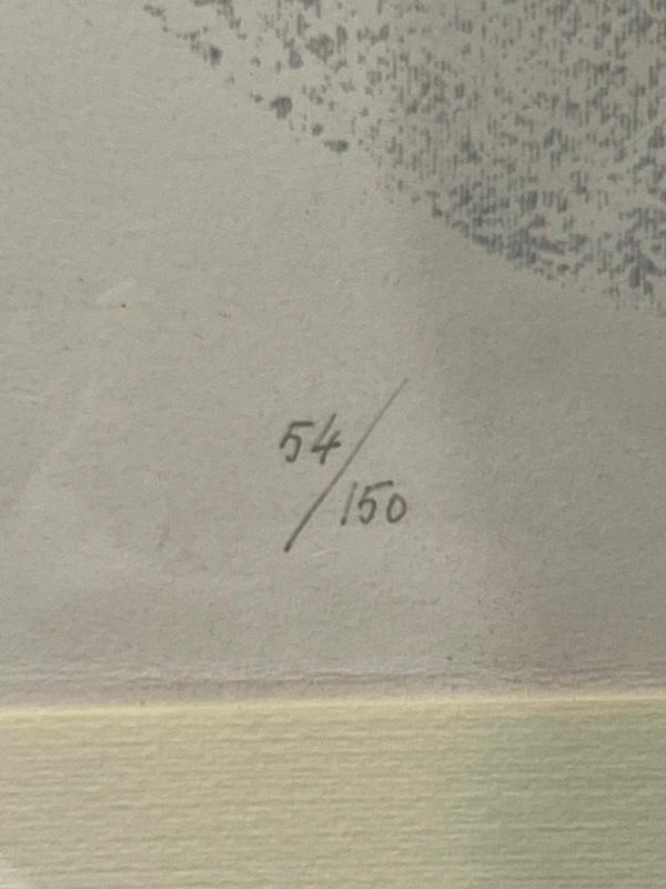 Litografia di Gino Bogoni 54/150 dal titolo "Materiche" - immagine 6